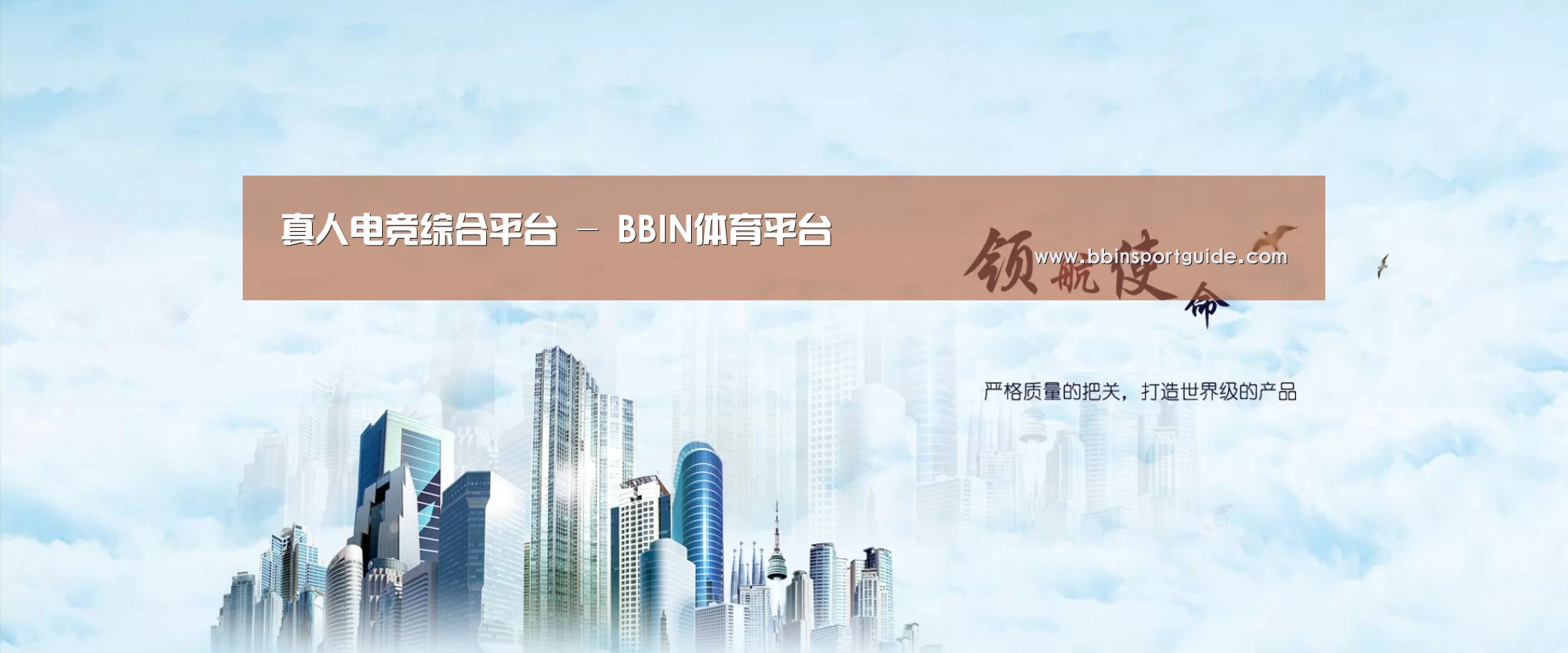 BBIN视讯公司