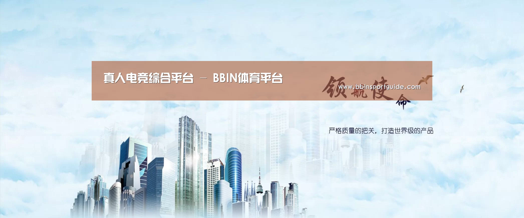 BBIN视讯公司