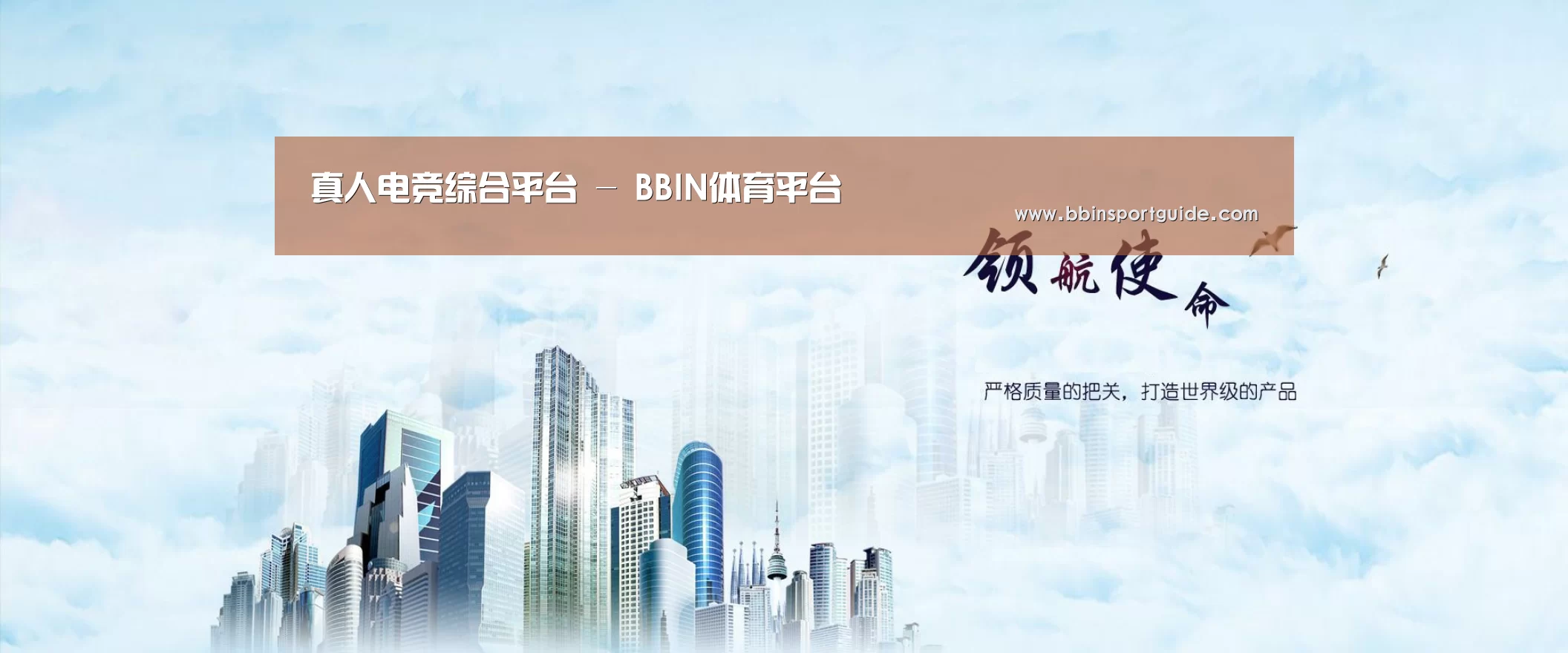 BBIN视讯公司