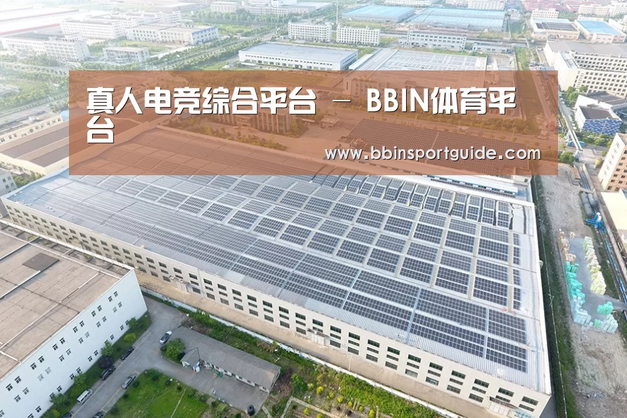 案例展示二