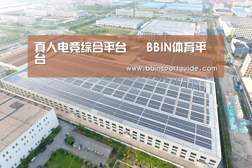 案例展示一