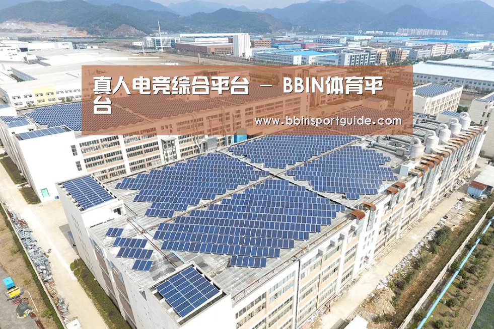 案例展示一