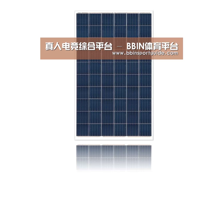 产品名称一