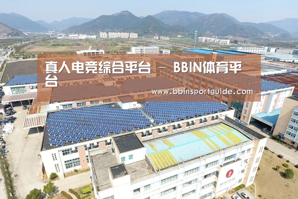 案例展示四