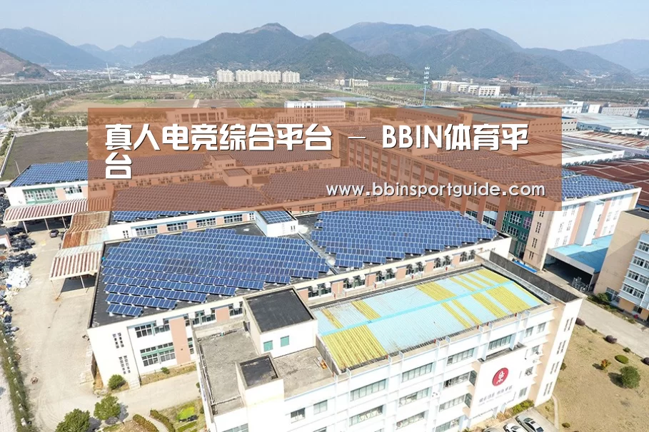 案例展示一