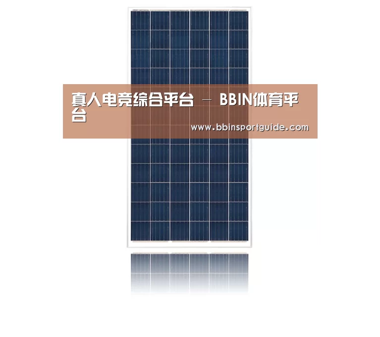 产品名称一