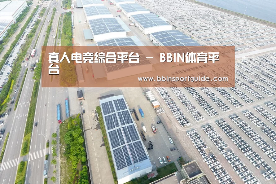 案例展示一