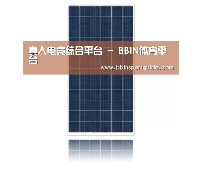 产品名称一