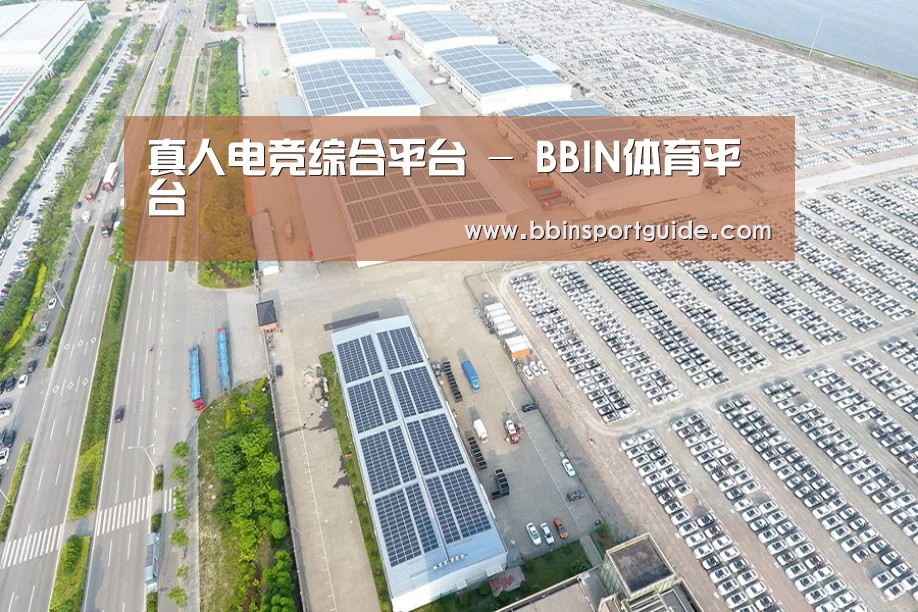 案例展示一