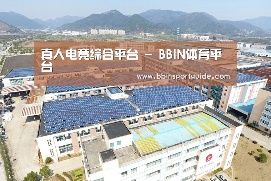 案例展示三