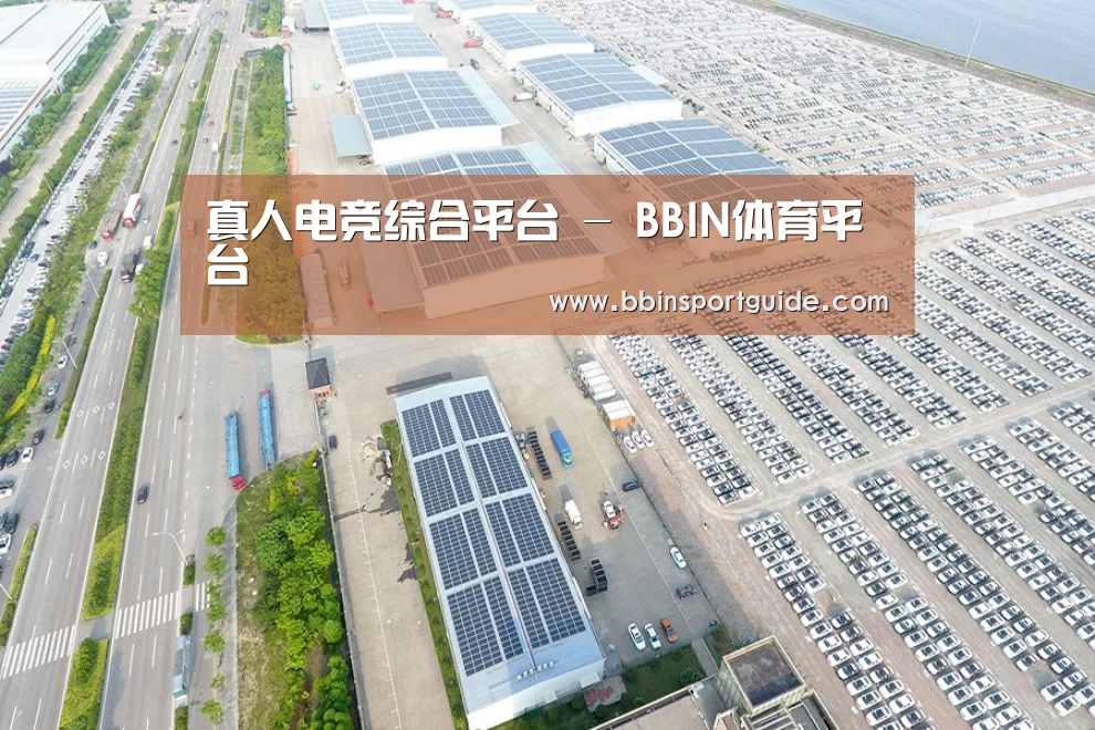 案例展示四