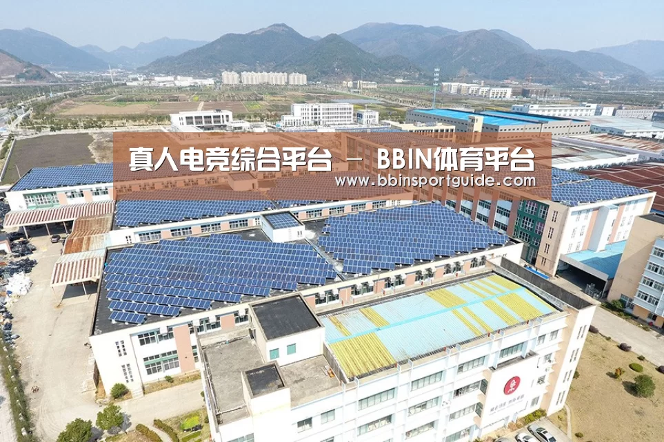 案例展示三