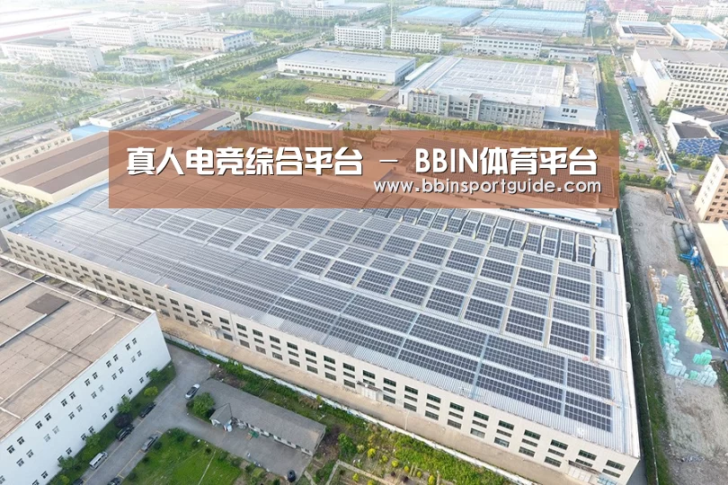 案例展示四
