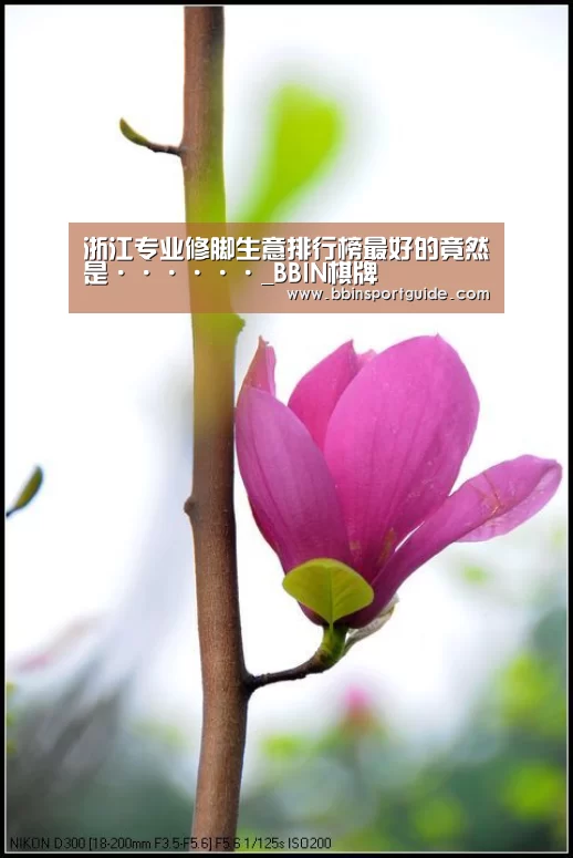 浙江专业修脚生意排行榜最好的竟然是······_BBIN棋牌(图4) BBIN捕鱼