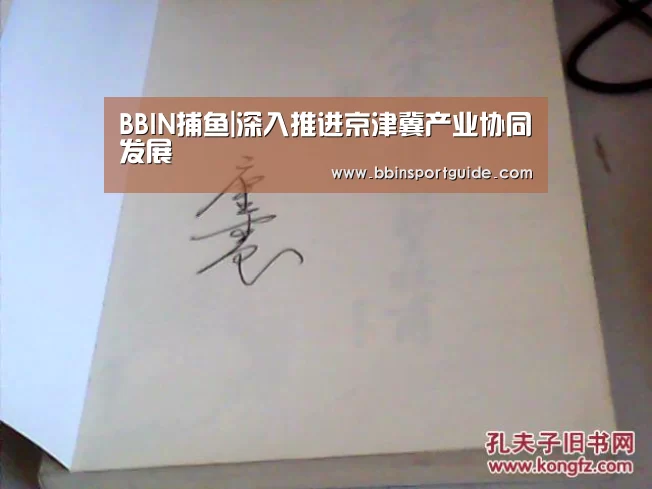 BBIN捕鱼|深入推进京津冀产业协同发展(图2) BBIN捕鱼