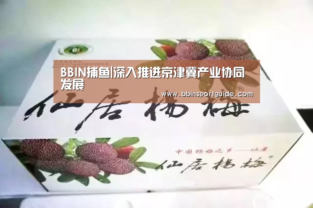 BBIN捕鱼|深入推进京津冀产业协同发展(图4) BBIN官网