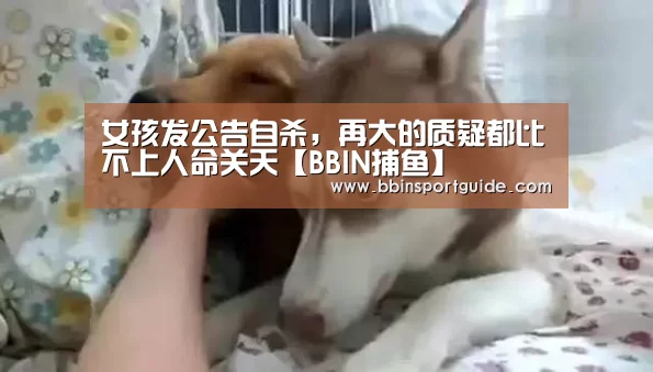 BBIN官网