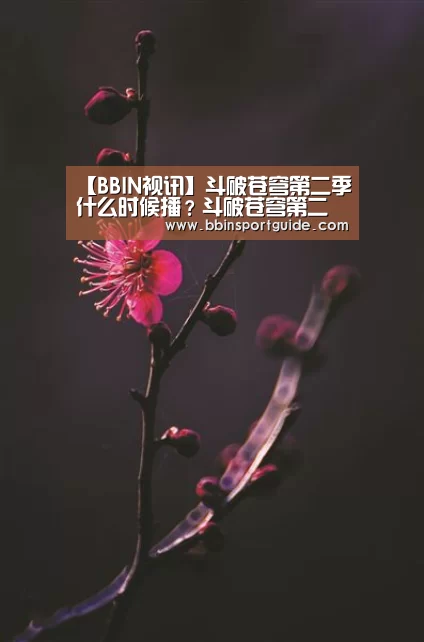 BBIN棋牌