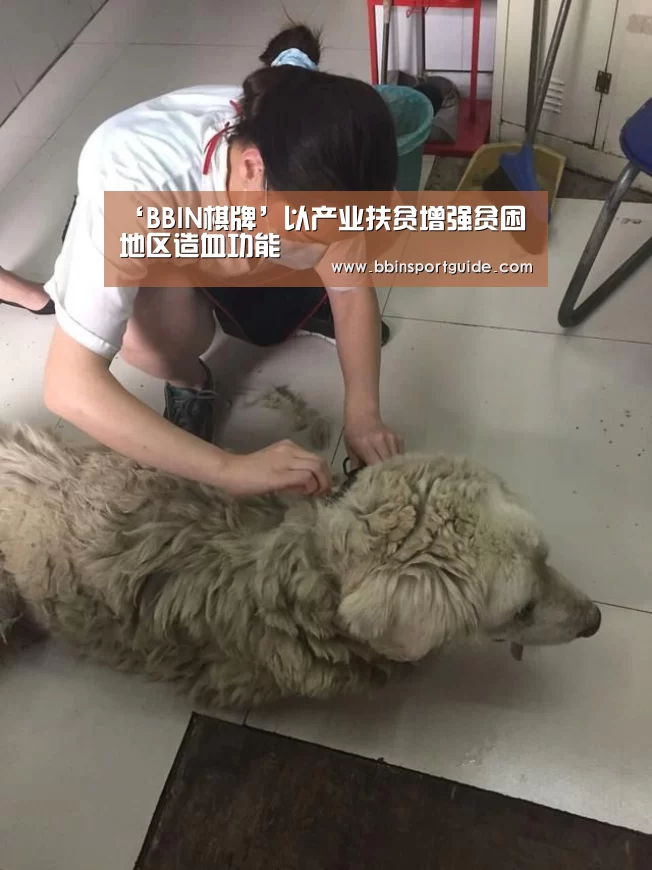 BBIN视讯