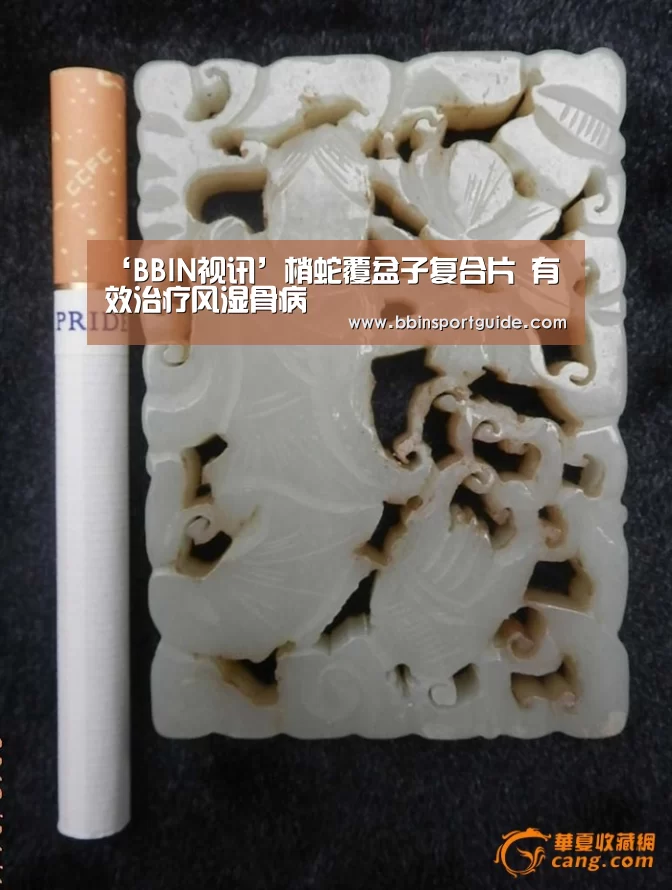 ‘BBIN视讯’梢蛇覆盆子复合片 有效治疗风湿骨病(图3) BBIN捕鱼