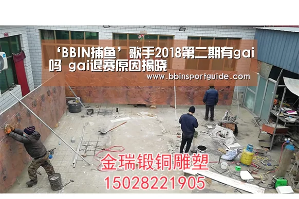 ‘BBIN捕鱼’歌手2018第二期有gai吗 gai退赛原因揭晓(图3) BBIN视讯